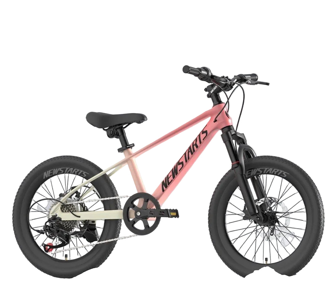 NewStarts 7速小童單車 18寸 20寸 22寸