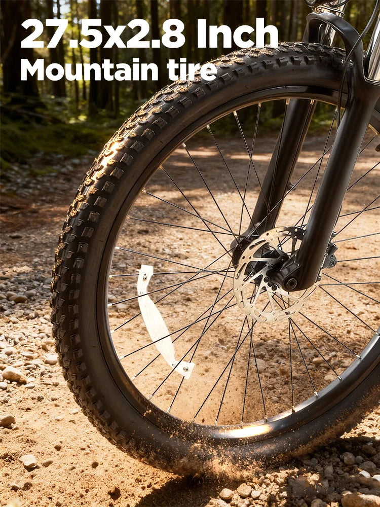 Burchda B27 26" 48V 1000W 20Ah E-MTB Electric Mountain Bike