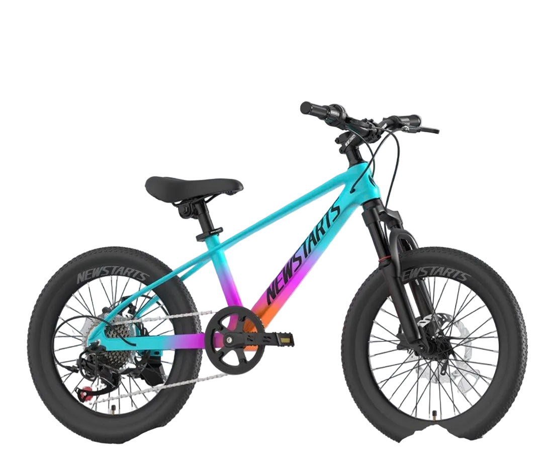 NewStarts 7速小童單車 18寸 20寸 22寸